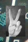 Hand landmark example 2